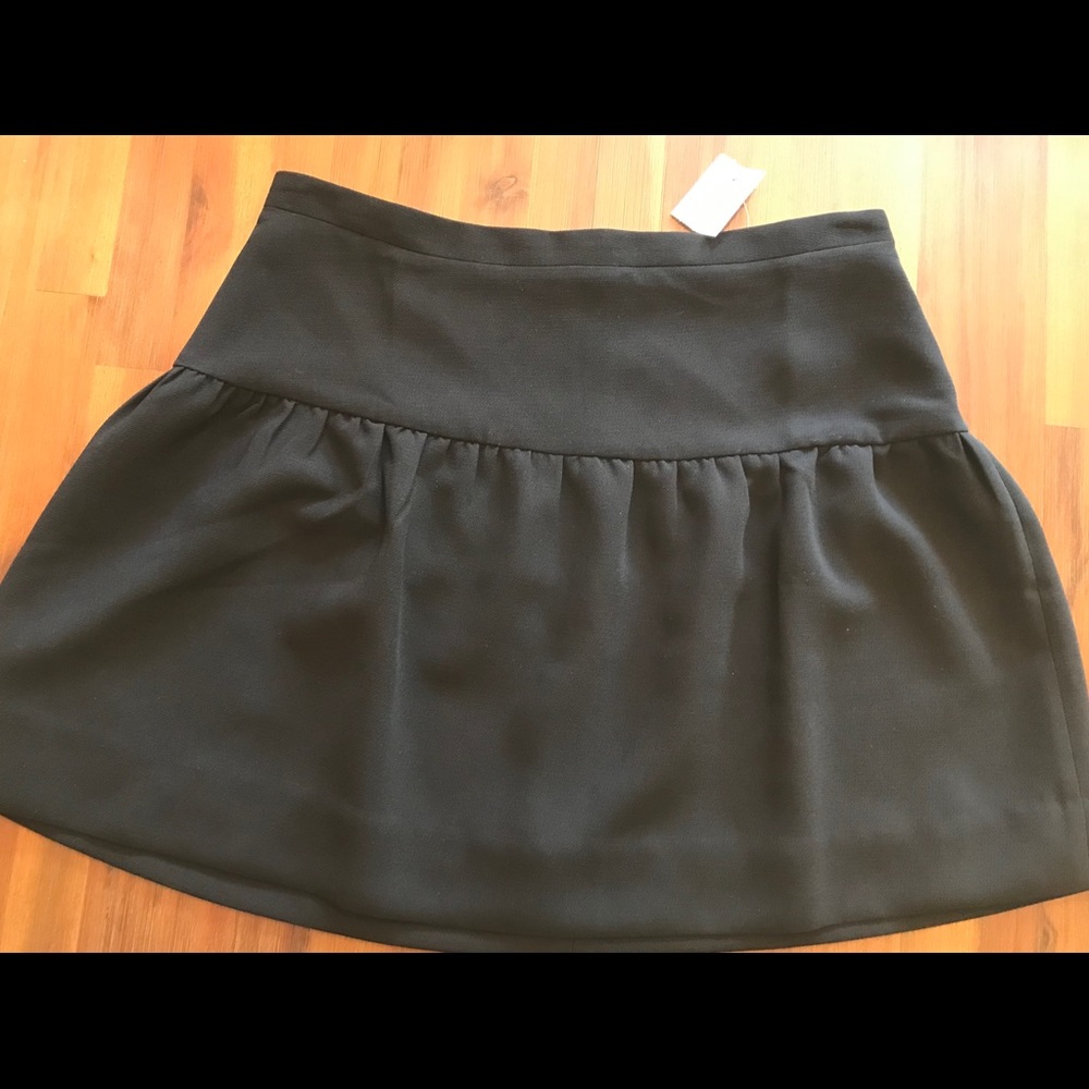 New J. Crew skirt
